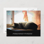 夢を見るチャンス ポストカード (正面/裏面)