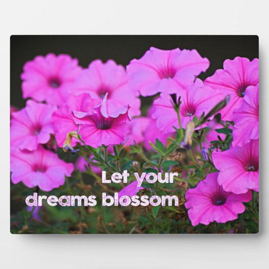 夢を見る フォトプラーク (正面)