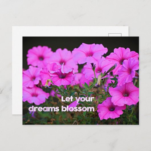 夢を見る ポストカード (正面/裏面)