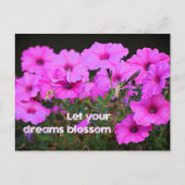 夢を見る ポストカード (正面)