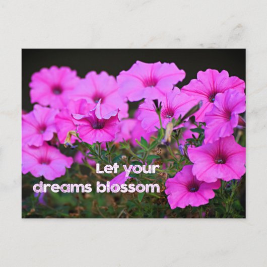 夢を見る ポストカード (正面)