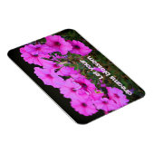 夢を見る マグネット (右側)