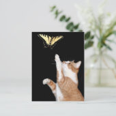 夢を追い求める ポストカード (スタンド正面)