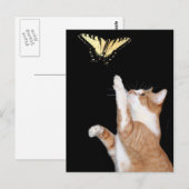 夢を追い求める ポストカード (正面/裏面)