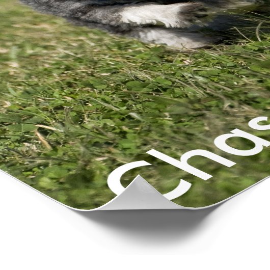 夢を追え。 ポスター (角)