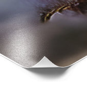 夢カラフルのような世界の中の鳥 フォトプリント            (角)