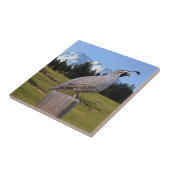 夢ポイントのウズラ タイル (側面)