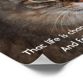 夢保を追う ポスター (角)