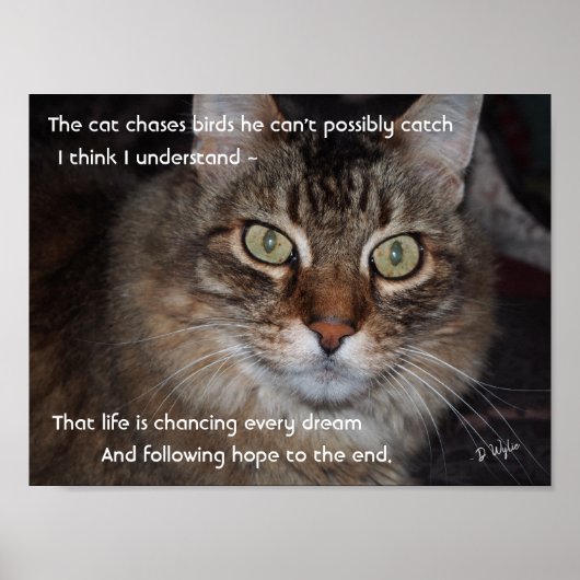 夢保を追う ポスター (正面)