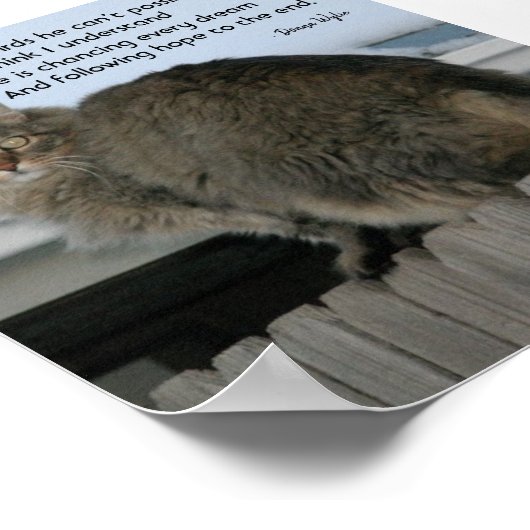 夢保を追う ポスター (角)