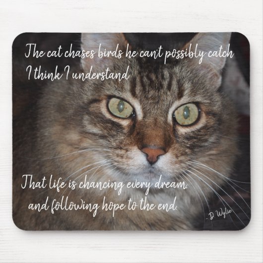 夢保を追う マウスパッド (正面)