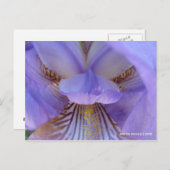 夢失ったに ポストカード (正面/裏面)