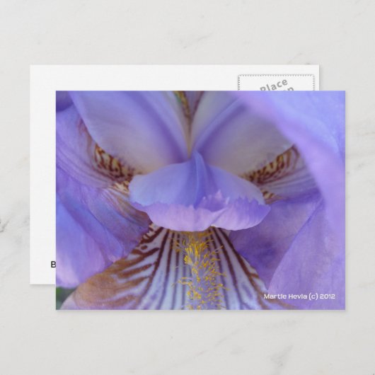 夢失ったに ポストカード (正面/裏面)