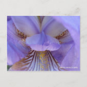 夢失ったに ポストカード (正面)