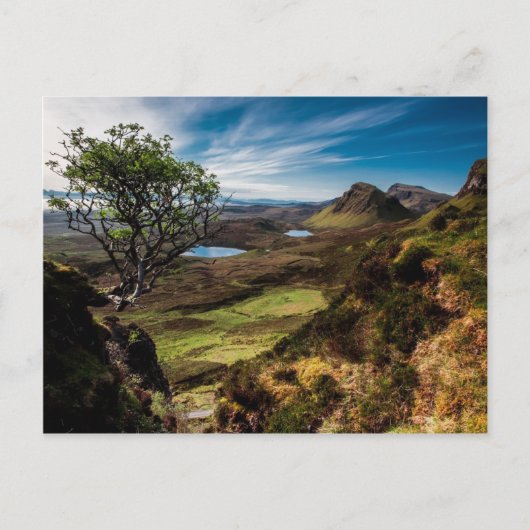 夢後を追を! ポストカード (正面)