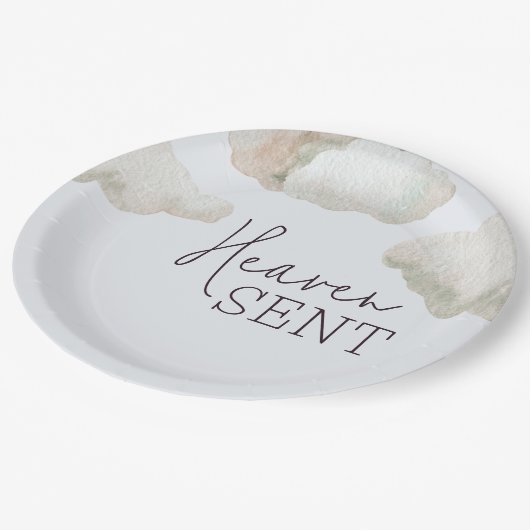 夢想的な天国がブルーボーイベビーシャワーを送信 ペーパープレート (アングル)