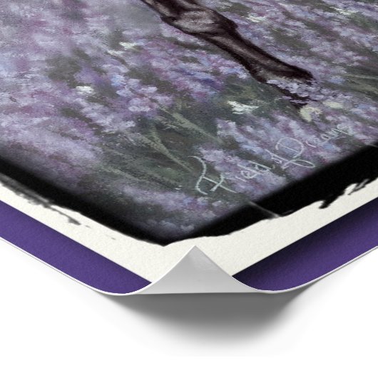 夢感動的の分野 ポスター (角)