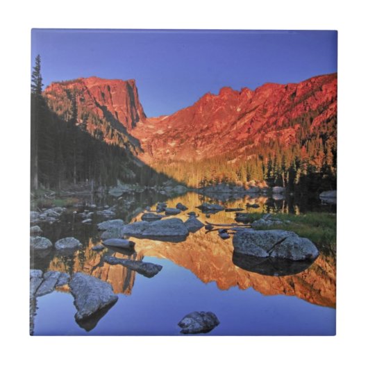 夢湖 タイル (正面)