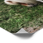 夢見るかわいいポニーの写真アートプリント ポスター (角)