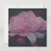 夢見るようなピンクのバラの花束 招待状 (裏面)