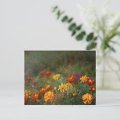 夢見るようなマリーゴールドの美術写真 ポストカード (スタンド正面)