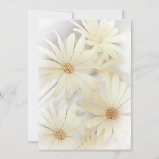 夢見るデイジー2 招待状 (裏面)