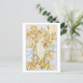 夢見るバラの花芽の妖精 ポストカード (スタンド正面)