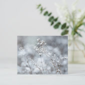 夢見る冬の自然、新年 シーズンポストカード (スタンド正面)