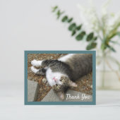 夢見る目をしたタビー猫の感謝のポストカード ポストカード (スタンド正面)