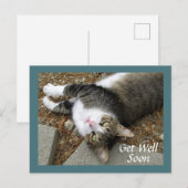 夢見る目をしたトラネコの回復祝いポストカード ポストカード (正面/裏面)