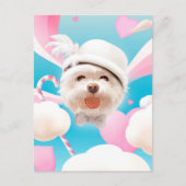 夢見る空の子犬 : 帽子と雲のビションフリーゼの笑顔 案内ポストカード (正面)