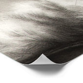 夢遊病の主あらいぐま猫のポスター ポスター (角)