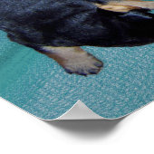 夢遊病ロットワイラー子犬 ポスター (角)