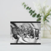 夢遊病ロットワイラー子犬 ポストカード (スタンド正面)