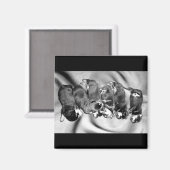 夢遊病ロットワイラー子犬 マグネット (正面/裏面)