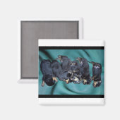 夢遊病ロットワイラー子犬 マグネット (正面/裏面)