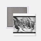 夢遊病ロットワイラー子犬 マグネット (正面/裏面)