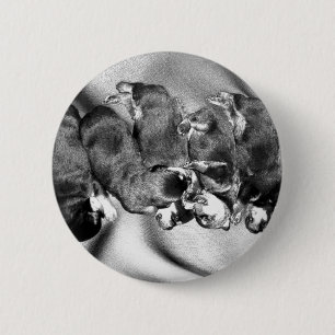 夢遊病ロットワイラー子犬 缶バッジ