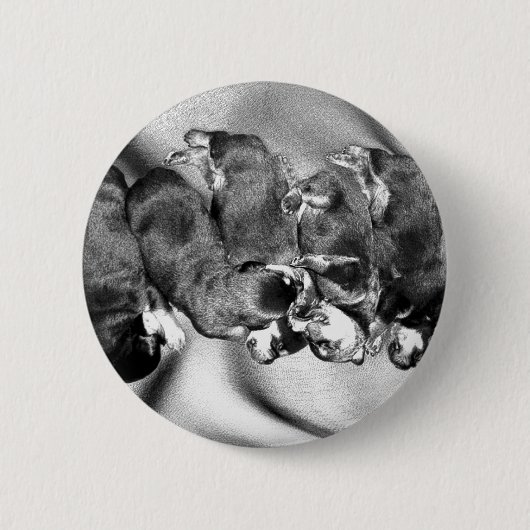 夢遊病ロットワイラー子犬 缶バッジ (正面)