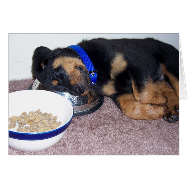 夢遊病ロットワイラー。 (正面横)