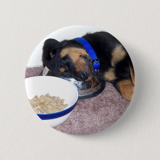 夢遊病ロットワイラー。 缶バッジ (正面)