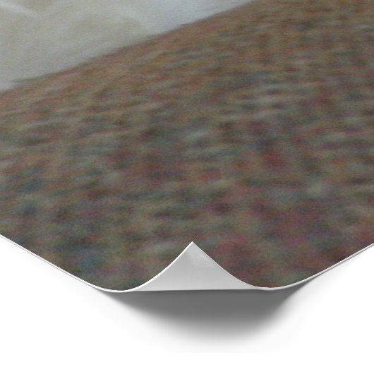 夢遊病 ポスター (角)