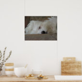 夢遊病 ポスター (キッチン)