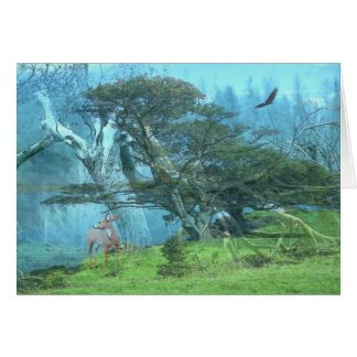 夢