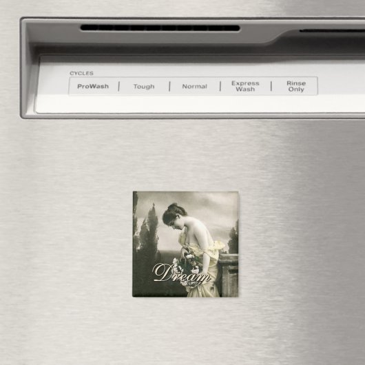 夢 マグネット (インサイチュ (食洗機))