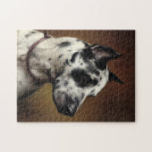 大いなる危険 | カール・ライチェルト ジグソーパズル (横)