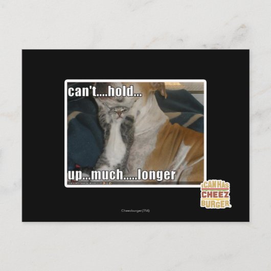 大いにより長く遅れることができません ポストカード (正面)