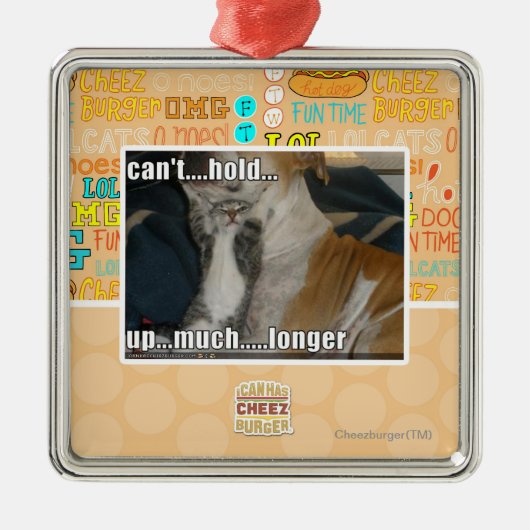 大いにより長く遅れることができません メタルオーナメント (正面)