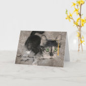 大おもしろい目の子猫 カード (黄色い花)