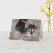 大おもしろい目子猫 カード (黄色い花)